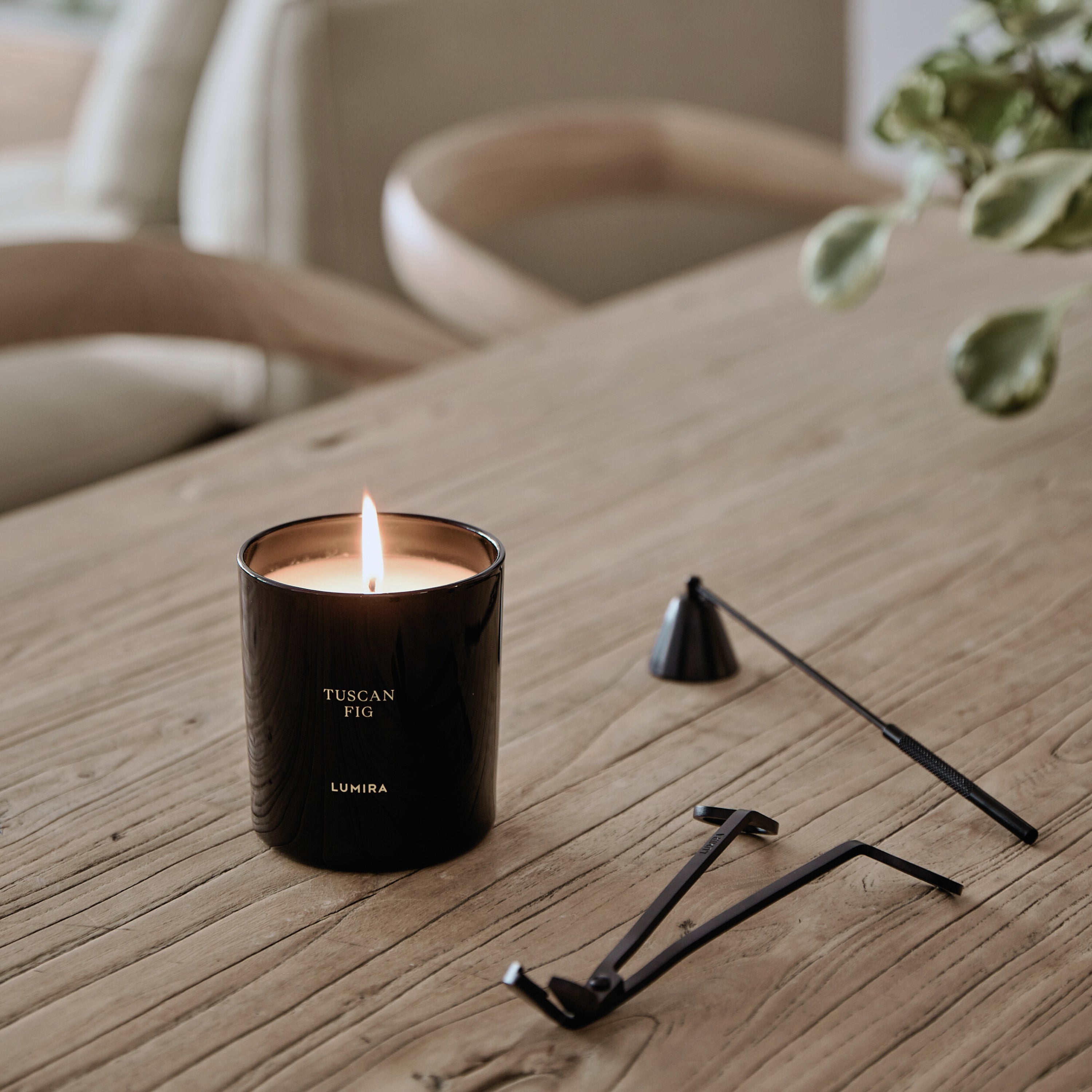 Tuscan Fig Candle
