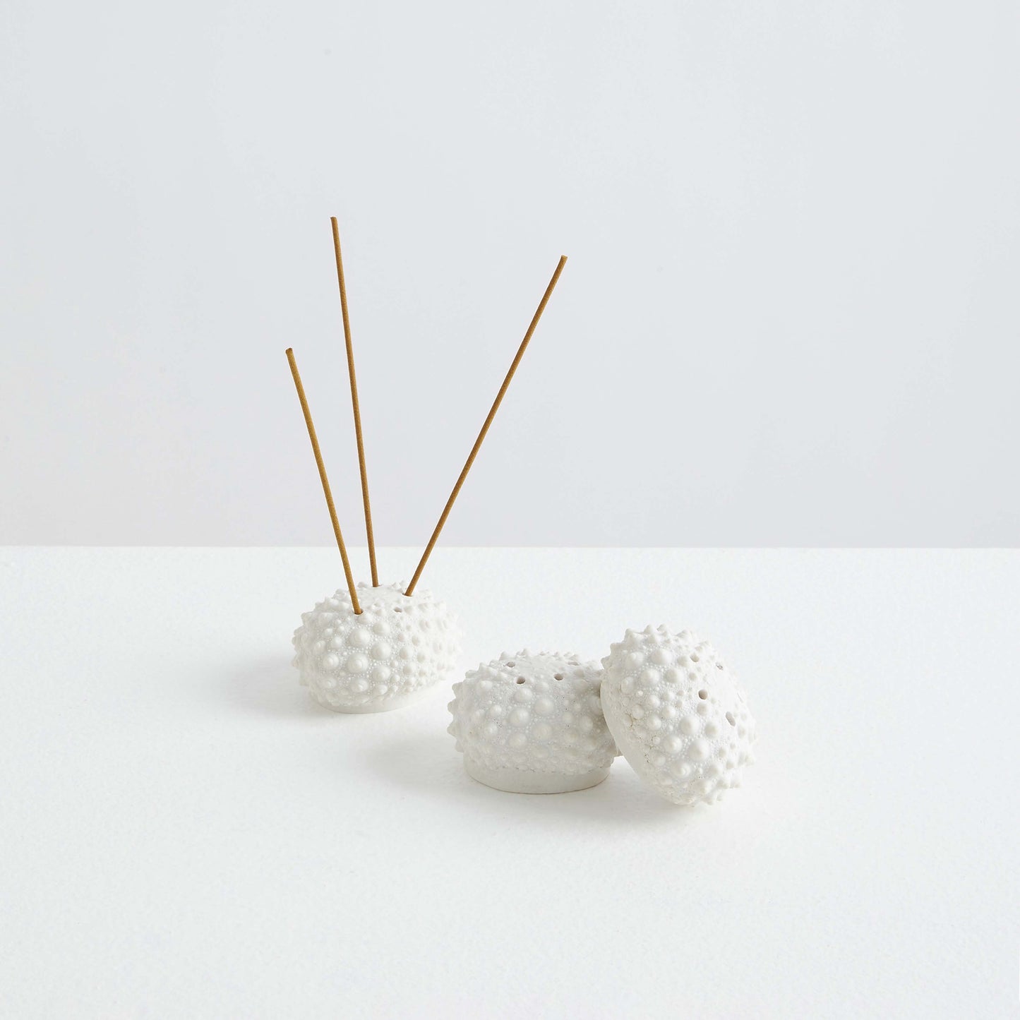 Maison Balzac L'Oursin | the Sea Urchin
