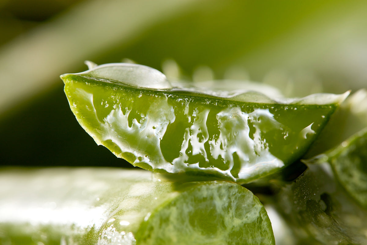 Christophe Robin - Hydrating Melting Mask With Aloe Vera 75ml