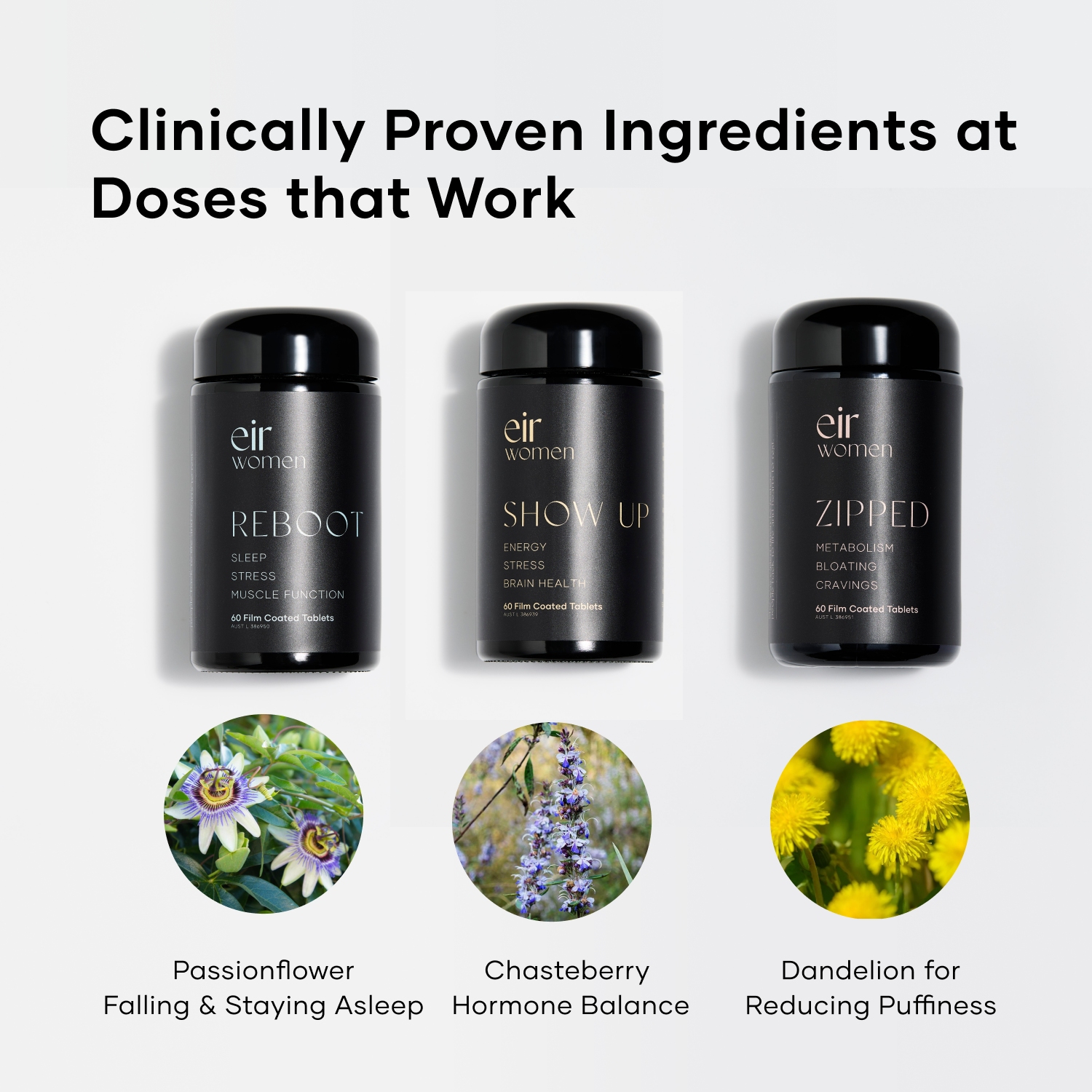 Total Body Reset