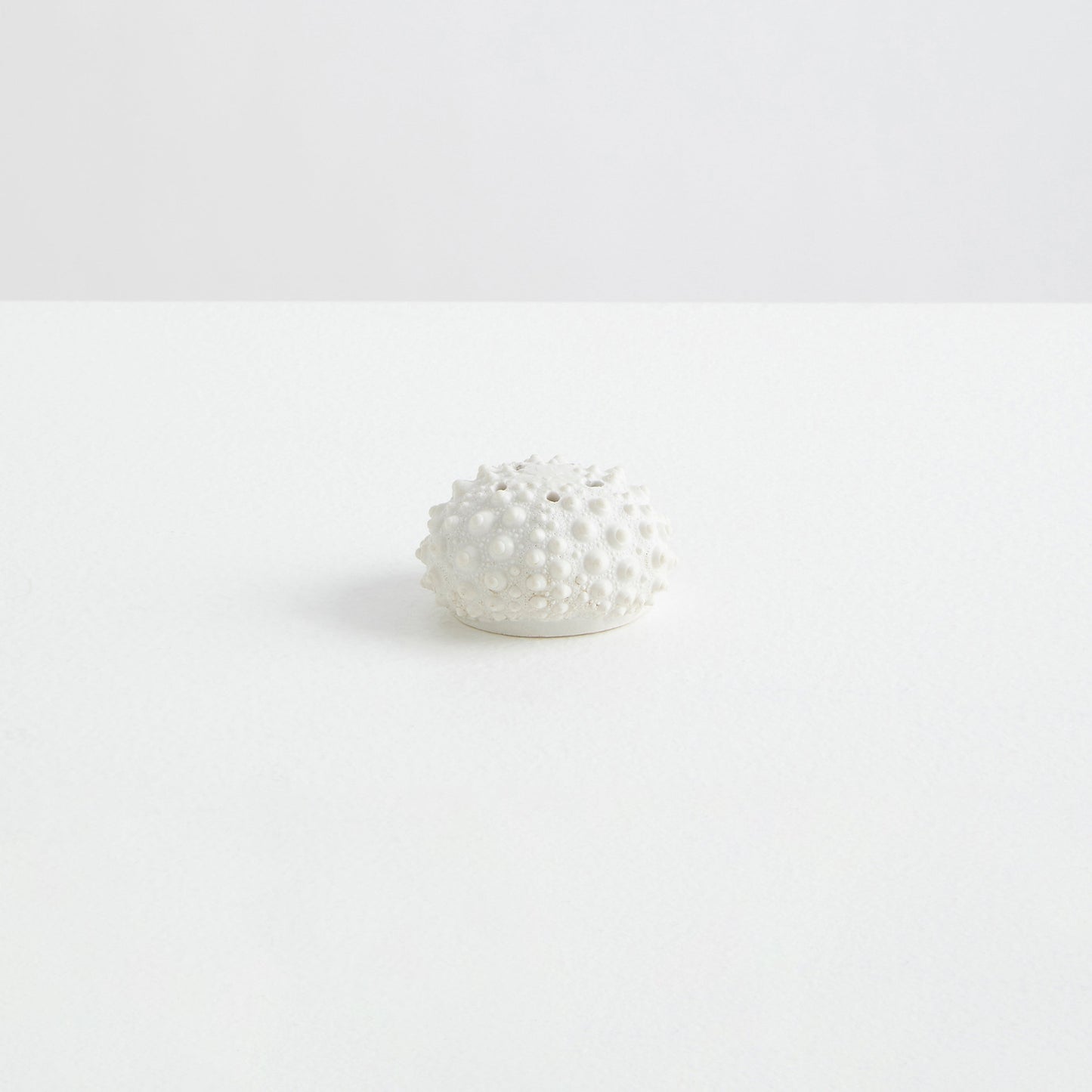 Maison Balzac L'Oursin | the Sea Urchin