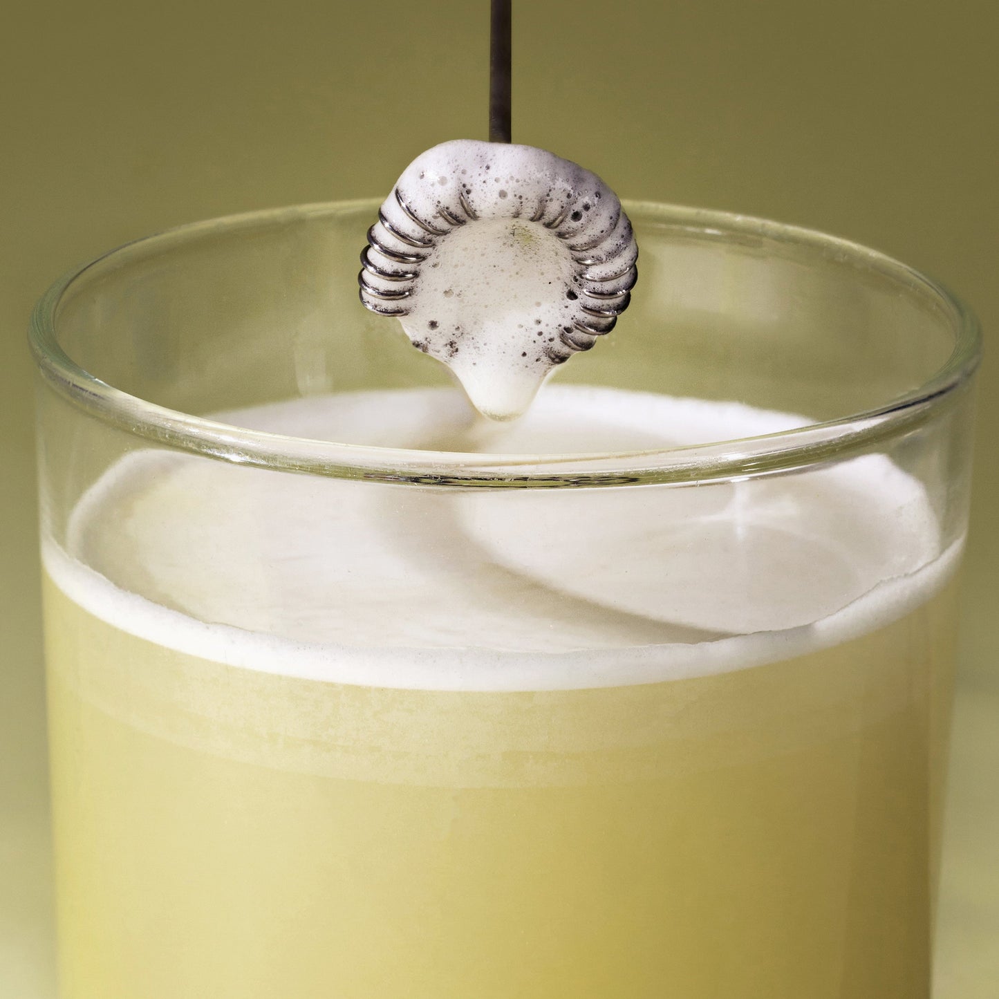 JSHealth Lean+ Powder Formula